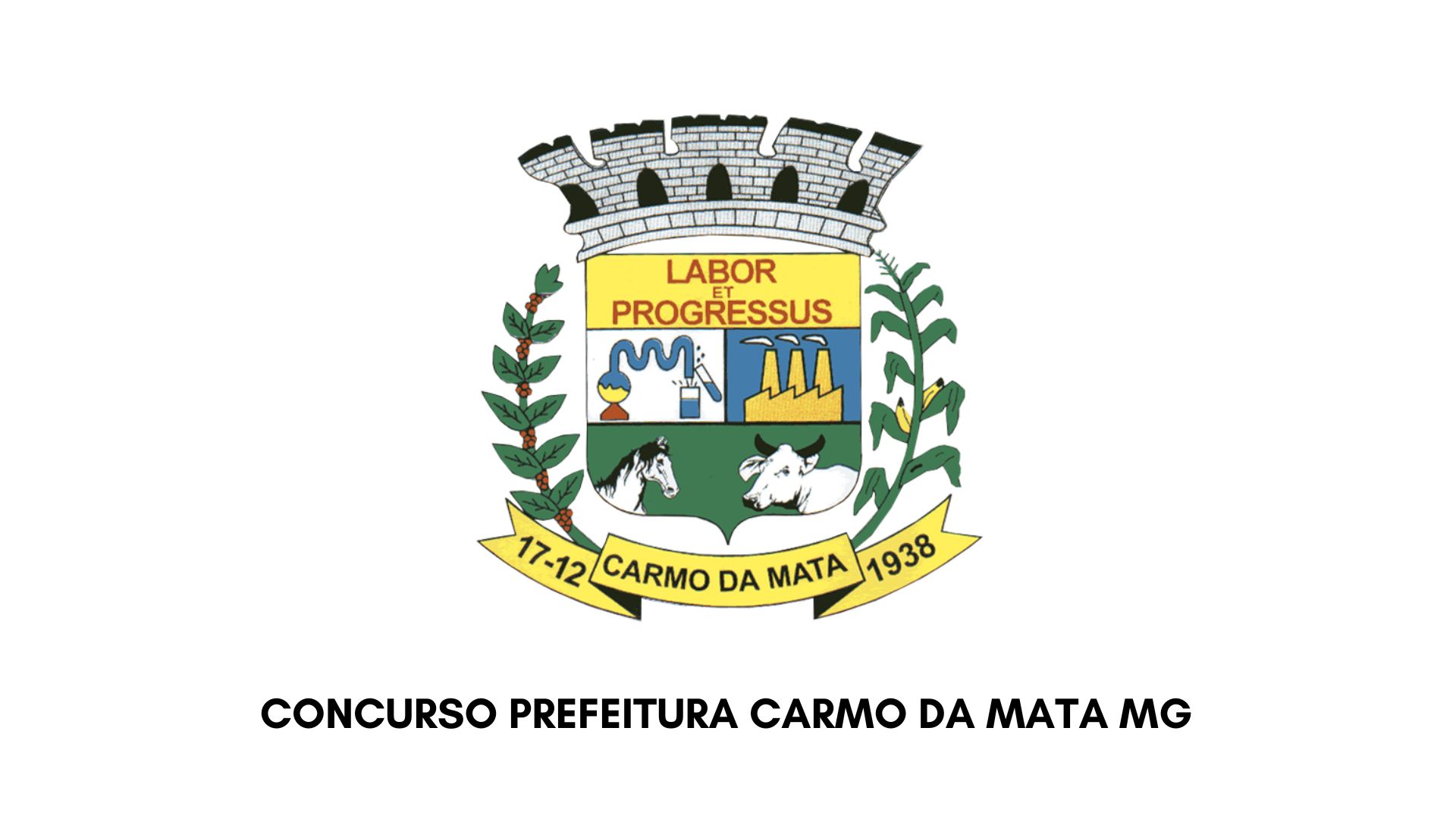 Concurso Prefeitura Carmo da Mata mg